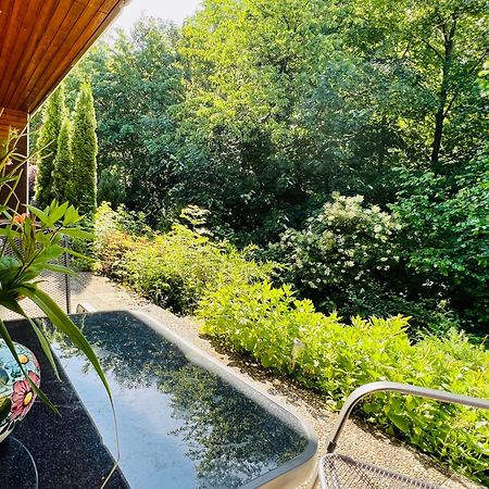 Vor Lauter Baeumen B&B Zorge Zewnętrze zdjęcie