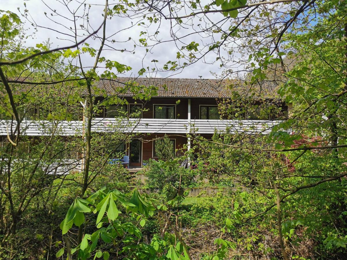 Vor Lauter Baeumen B&B Zorge Zewnętrze zdjęcie