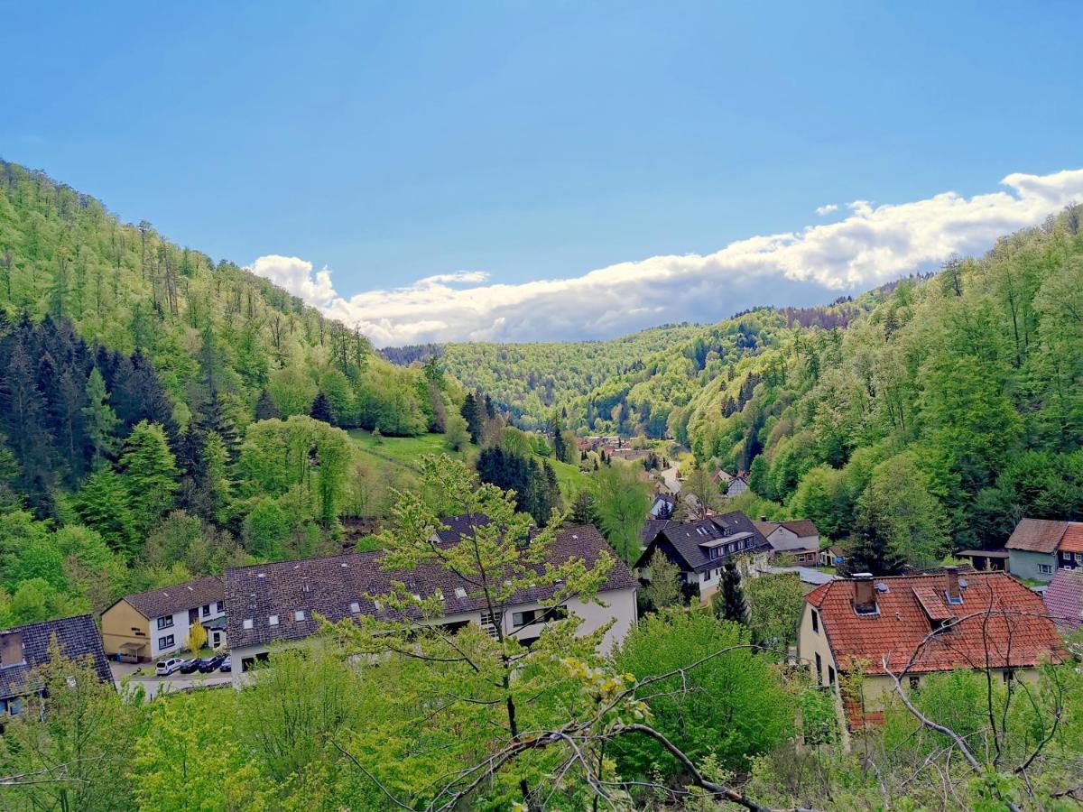 Vor Lauter Baeumen B&B Zorge Zewnętrze zdjęcie
