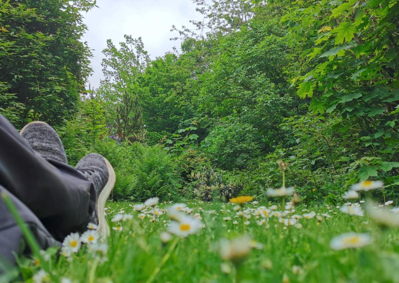Vor Lauter Baeumen B&B Zorge Zewnętrze zdjęcie