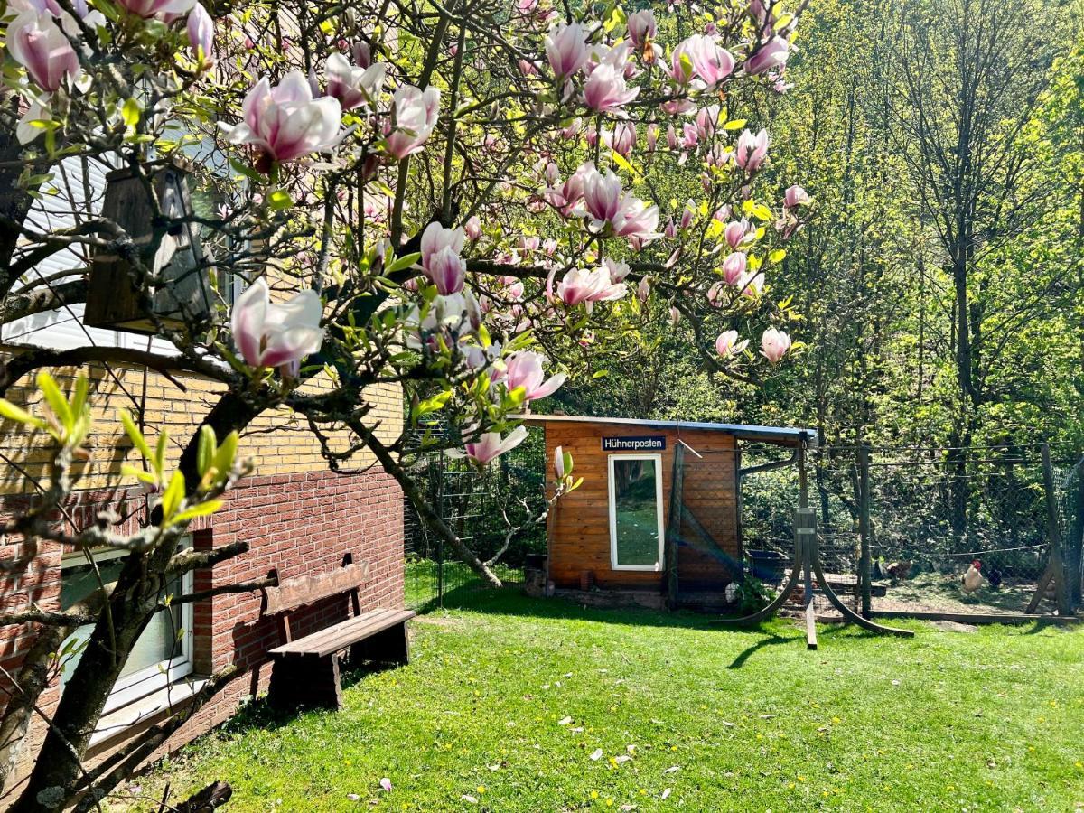 Vor Lauter Baeumen B&B Zorge Zewnętrze zdjęcie