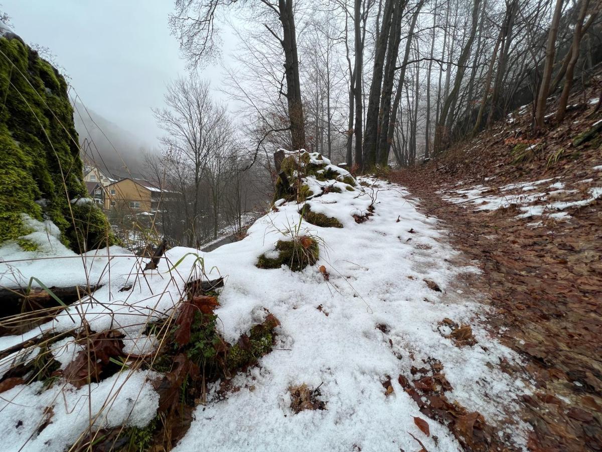 Vor Lauter Baeumen B&B Zorge Zewnętrze zdjęcie