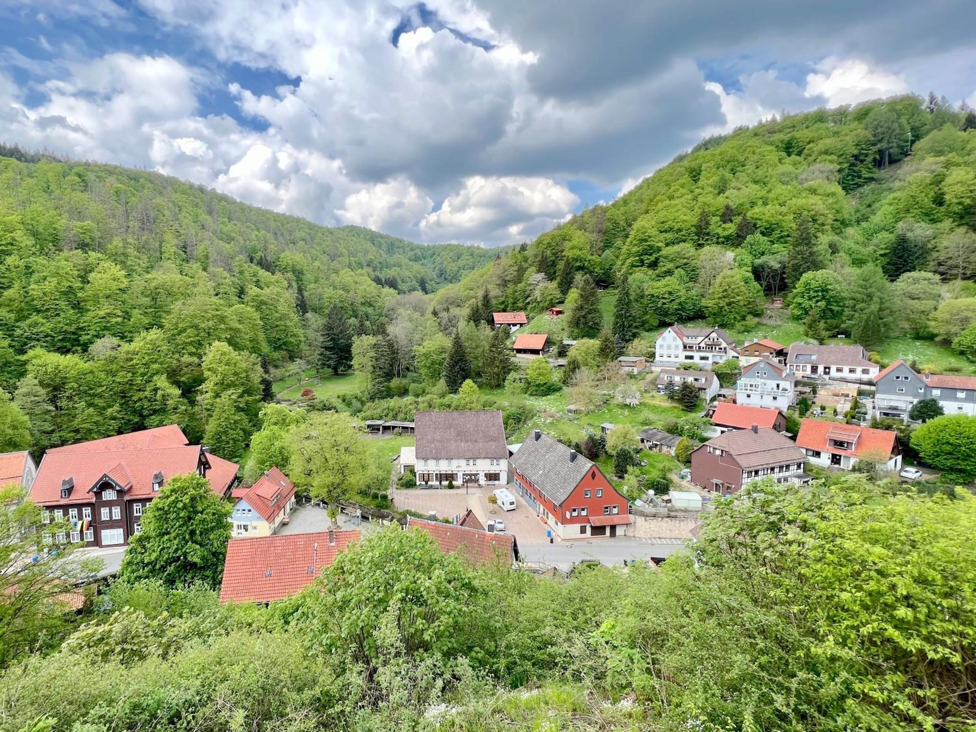 Vor Lauter Baeumen B&B Zorge Zewnętrze zdjęcie