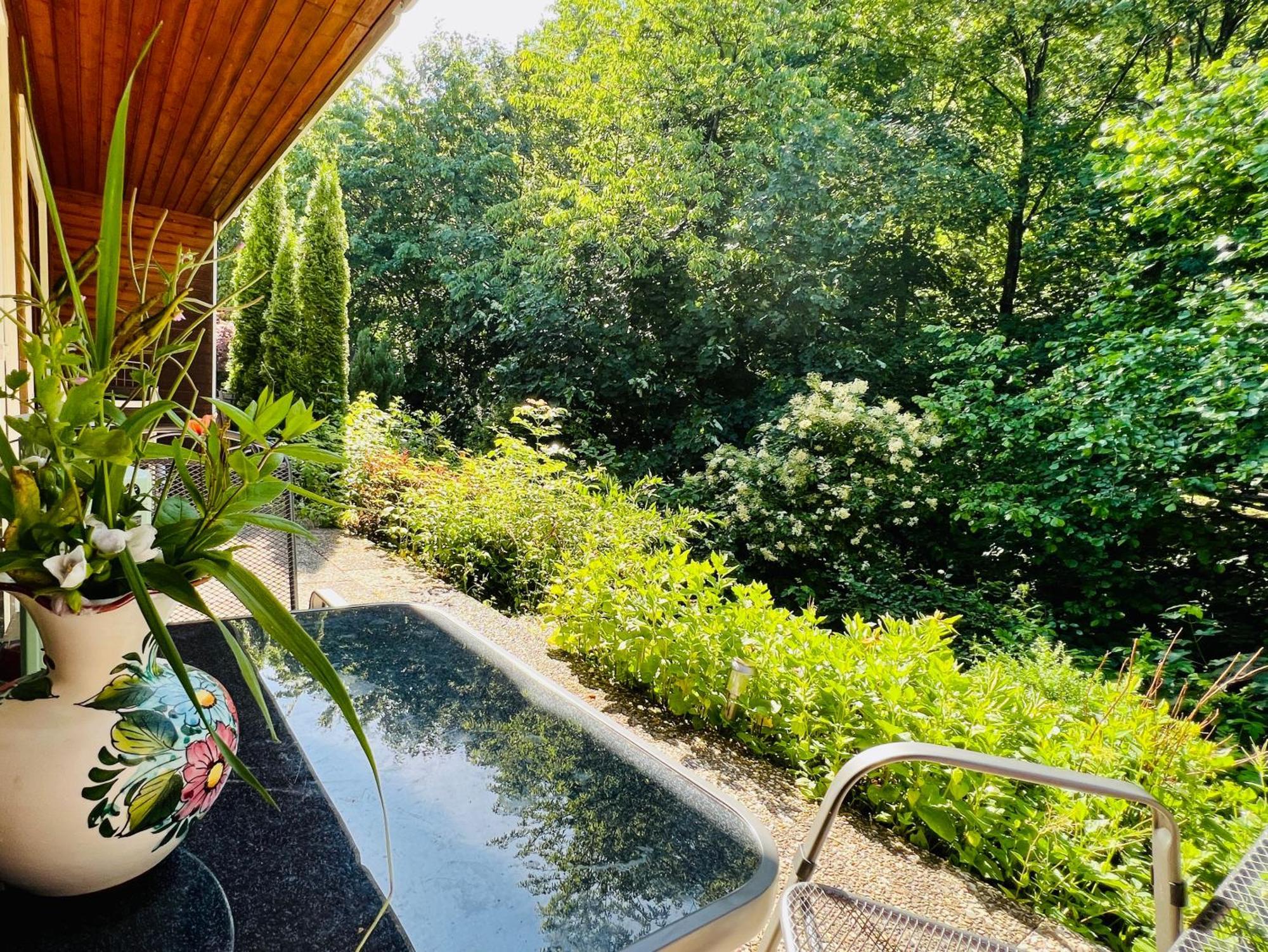 Vor Lauter Baeumen B&B Zorge Zewnętrze zdjęcie
