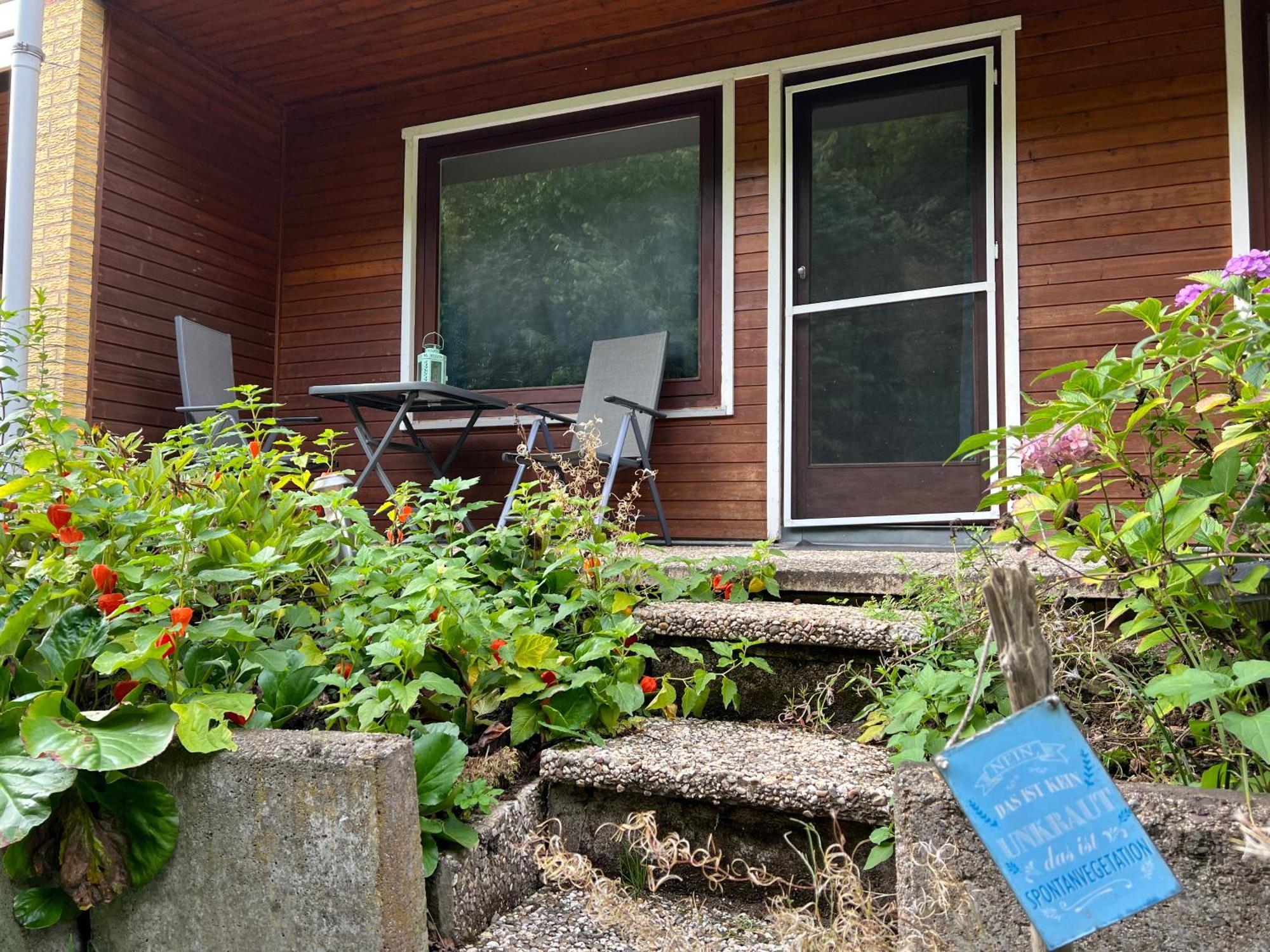 Vor Lauter Baeumen B&B Zorge Zewnętrze zdjęcie