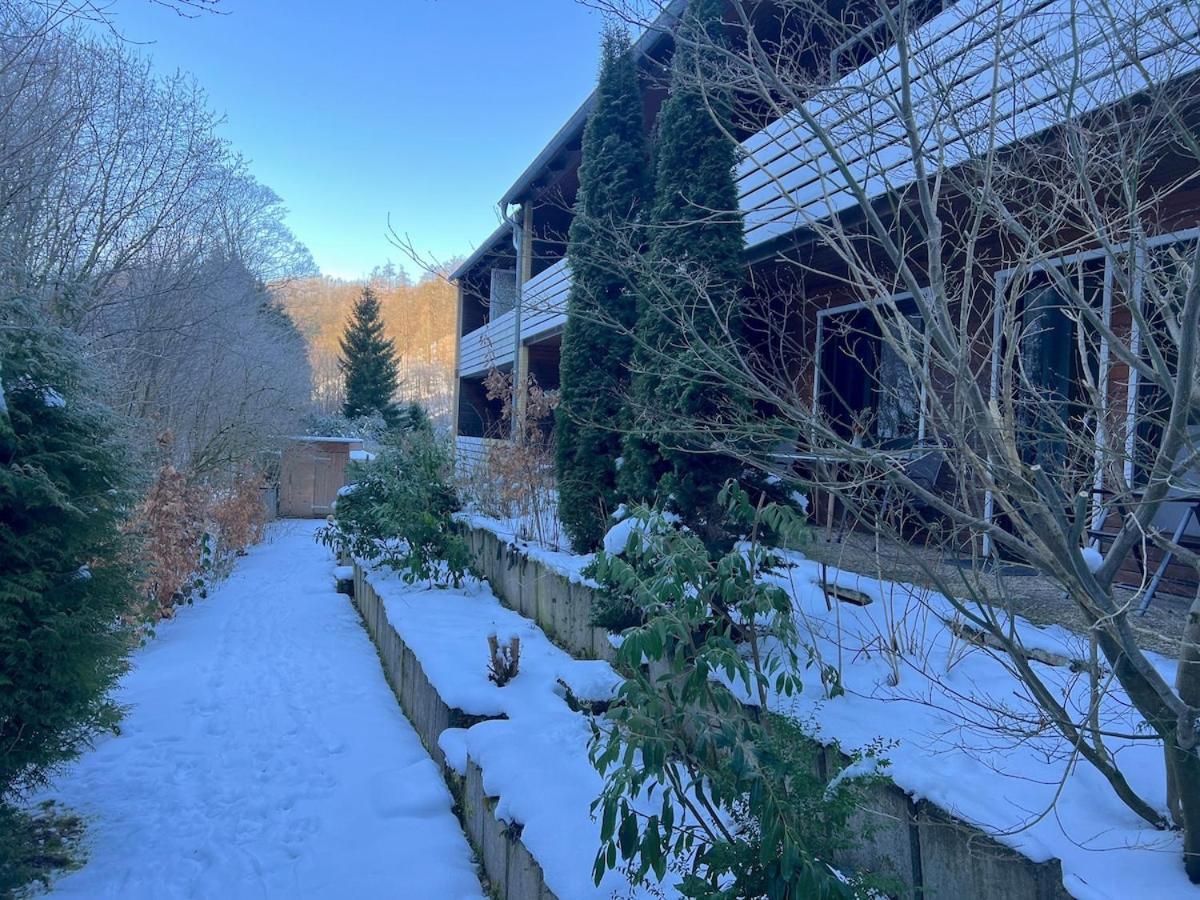 Vor Lauter Baeumen B&B Zorge Zewnętrze zdjęcie